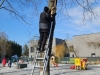 2026-03-10-40pauksciu03