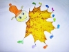 images7